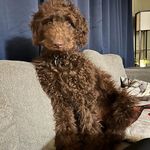 Patrick Brulé - @pat_brul - Instagram