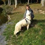 Patrick Brule - @brulepatrick - Instagram