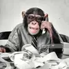 patrickbrunelles - @patrickbrunelles - TikTok
