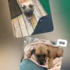 I hate wilky - @brutus.patrick - TikTok