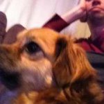 Patrick Bryant - @ginnyreilly - Instagram
