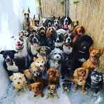 Patrick Bryant - @pab_houston - Instagram