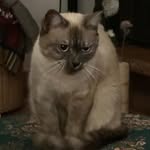 Patrick Brzozowski - @forazipaties45 - Instagram