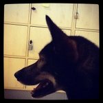 Patrick Buckingham - @patrick_buckingham - Instagram