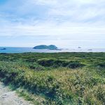 Patrick Buckley - @patrickbuckley541 - Instagram