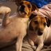Patrick Buckley - Facebook