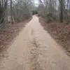 Patrick Buckner - @patrickbuckner3 - TikTok