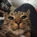 Piotrek Buczkowski - Facebook