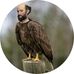 Patrick Budgell - Facebook