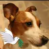 Patrick Budin - @patrick.budin - TikTok