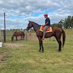 Patrick Bueno - @pbueno616 - Instagram