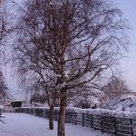 Patrick Bui - @buipatrick - Instagram