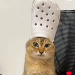 Patrick Bui - @patrick_bui_ - Instagram