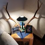 Patrick Burkholder - @trick930 - Instagram