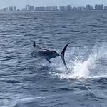 Bruce Patrick Burnette - @southflbluemarlinchallenge - Instagram