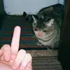 Patrick.burnette - @patrick.burnette - TikTok