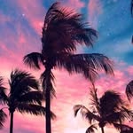 patrick burrell - @burrell3390 - Instagram