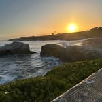 Patrick Burrell - @patrick.burrell.98 - Instagram