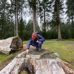 Patrick Burrows - @patchmburrows - Instagram