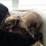 Patrick Burwell - @patrick.burwell - Instagram