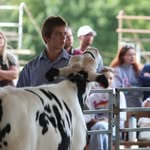 Patrick Bushey - @pad_bush11 - Instagram
