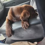 Patrick Buskirk - @kirkbuzz - Instagram
