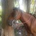 Patrick Bustamante - Facebook