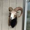 Patrick Butler - @patrickbutler13 - TikTok
