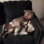 Patrick Butler - Facebook
