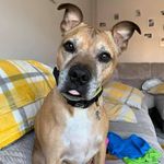 Patrick Buxton - @buxton2025 - Instagram