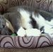 Jeffery Patrick Bybee - Facebook