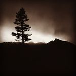 Patrick Bybee - @pbybee1 - Instagram