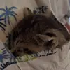 patrickbynum472 - @patrickbynum472 - TikTok