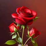 Patrick Kibet - Facebook