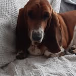 Patrick Caillebotte - @patrickcaillebotte - Instagram
