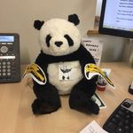 Patrick Callaghan-Pace - @patrickpace - Instagram