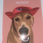 Patrick Calvo - @patrick.coconuts - Instagram