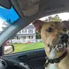 Patrick Canning278 - @patrickcanning278 - TikTok