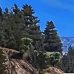 Patrick Canning - @patrick.canningg - Instagram