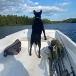 Patrick Cannon - @motorman499 - Instagram