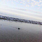 Patrick - @patrickcanny - Instagram