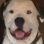 Patrick CANON - @amibien - Instagram
