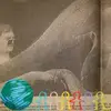 Patrick Canty - @patrick.canty - TikTok