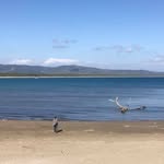 Patrick Cappetta - @patrickcappetta - Instagram