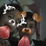 Patrick Carbonera - @patrickcarbonera - Instagram