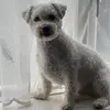 cardenpatrick843 - @cardenpatrick843 - TikTok