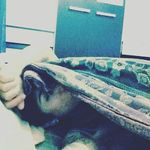 Patrick cardillo - @patrickcardilloo - Instagram
