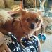 Patrick Cardona - Facebook