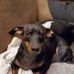 Patrick Carr - @patrick.carr.353 - Instagram
