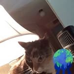 Patrick Carrigan - @patrickcarrigan7 - Instagram